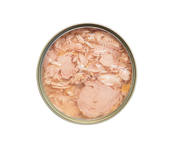 Starkist Tuna Flakes 2