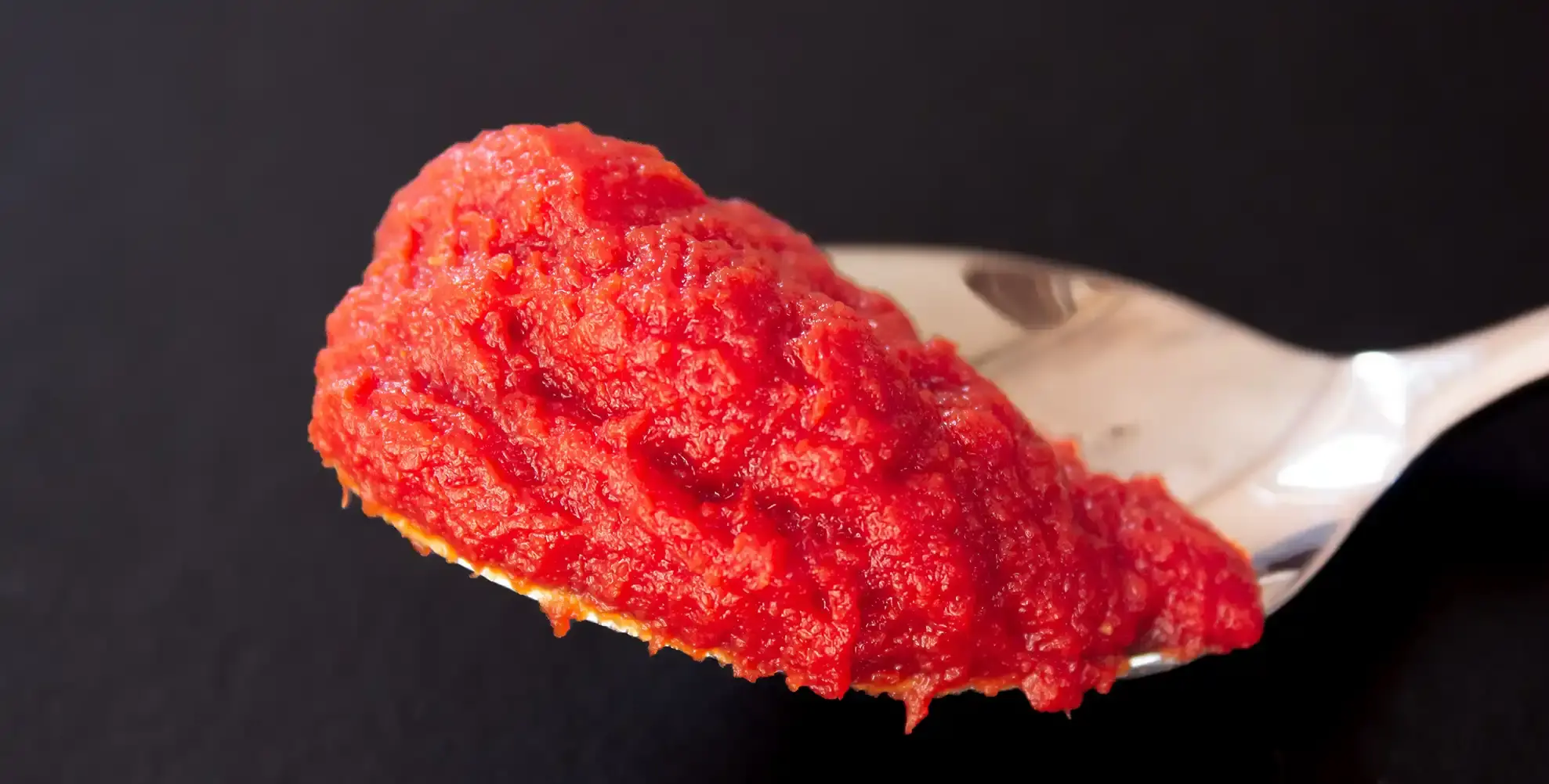 Hondi Tomato Paste 3