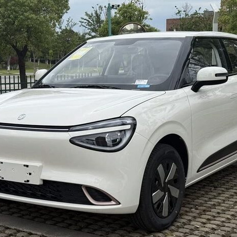 Nano Electric Car 2