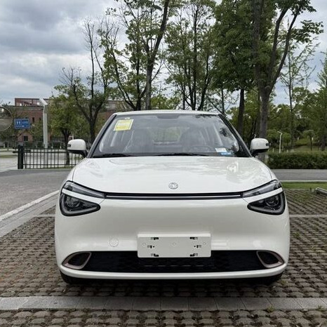 Nano Electric Car 3