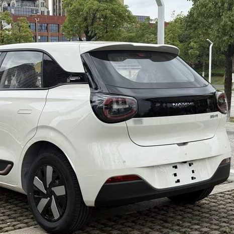 Nano Electric Car 5