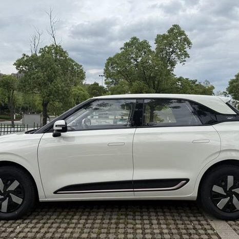 Nano Electric Car 6