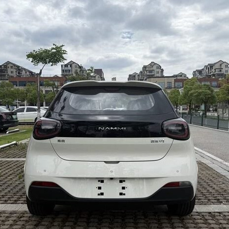 Nano Electric Car 7