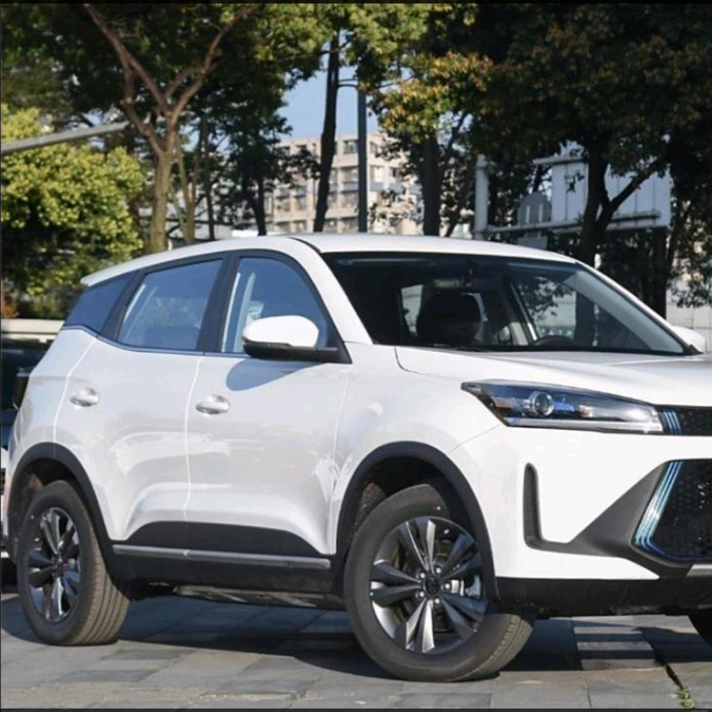 X3 PRO Electric SUV 2